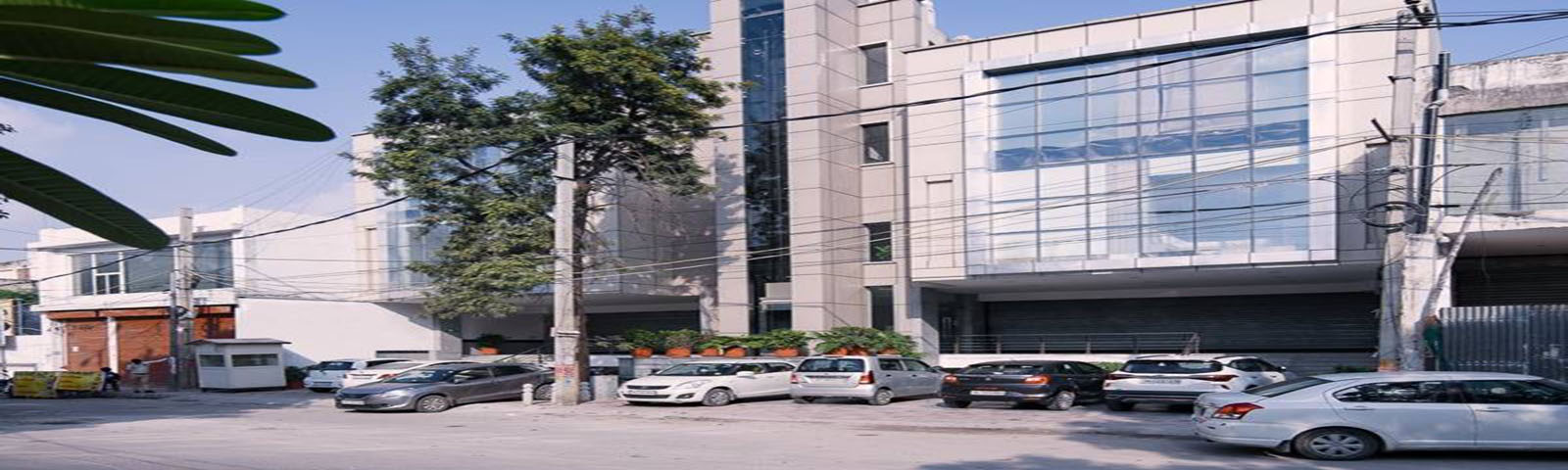 cover photo